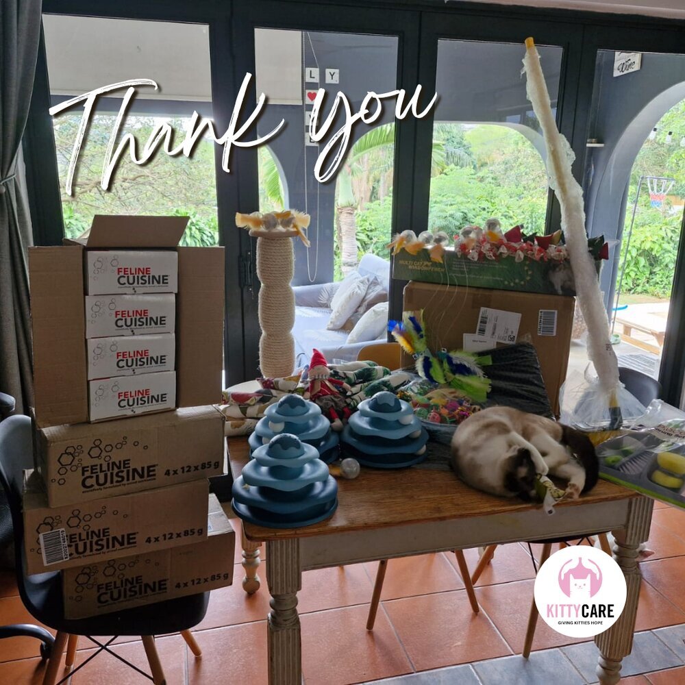 Kittycare Durban
